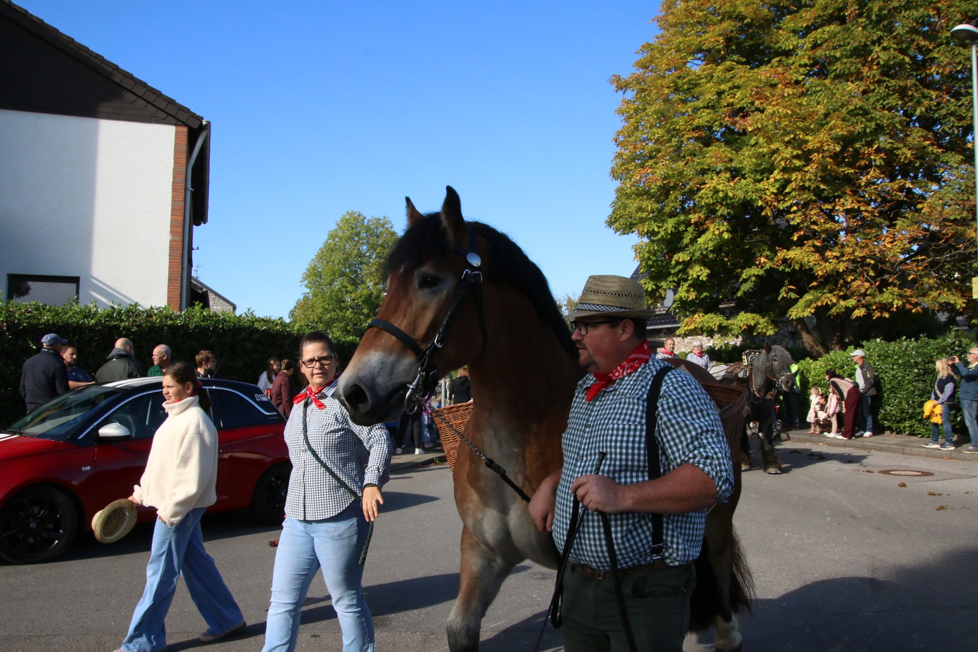 Teilnehmer neben einem braunen Pferd beim Erntedankzug Walheim 2026.