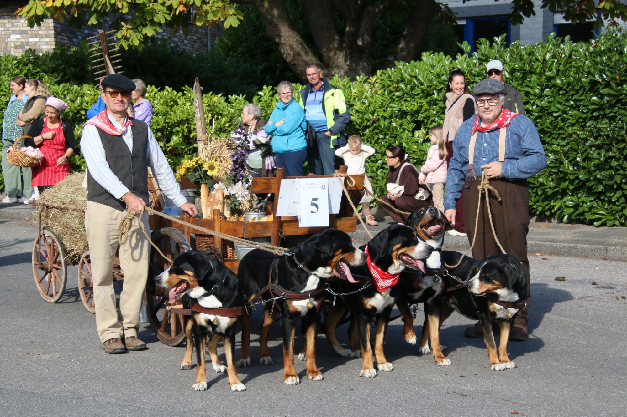 Teilnehmer mit Handwagen und kleinen Hundefiguren beim Erntedankzug Walheim 2026.