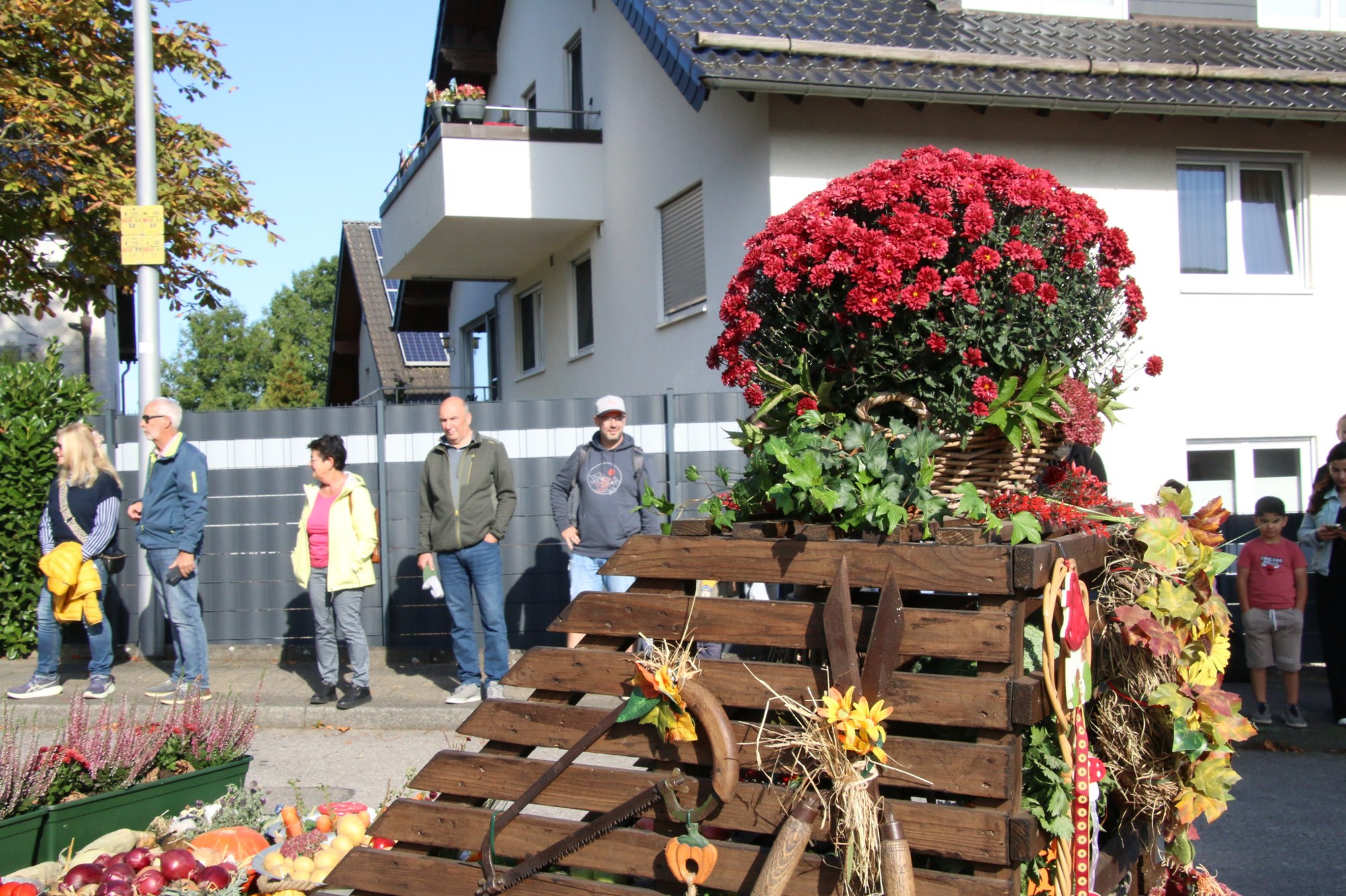 Blumengeschmücktes historisches Gerät beim Erntedankzug Walheim 2026.