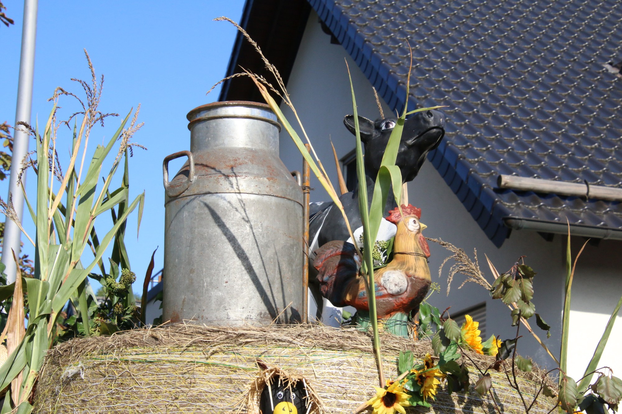 Milchkanne im Ernteschmuck beim Erntedankzug Walheim 2026.