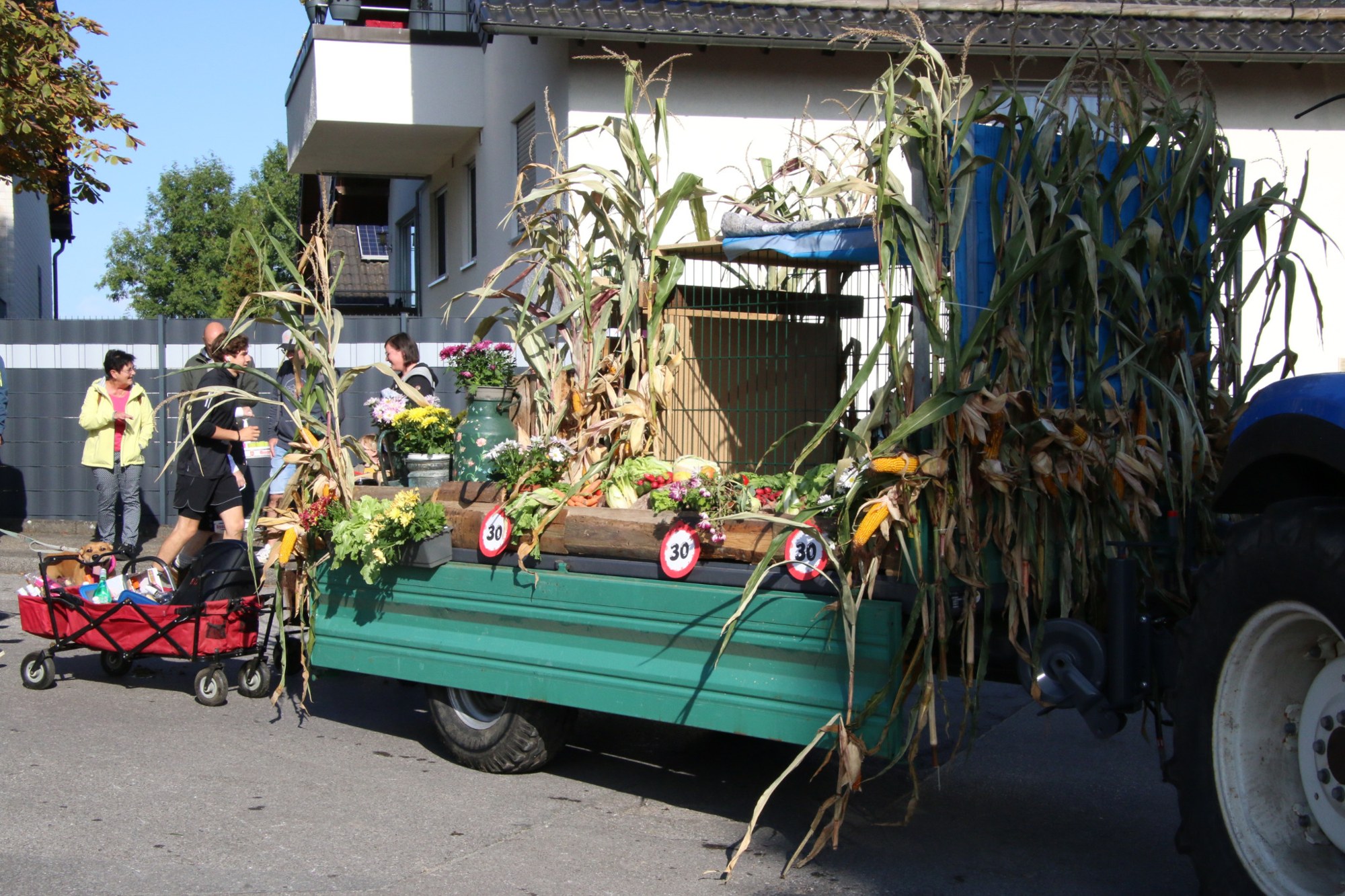 Mais und Blumen auf einem Erntewagen beim Erntedankzug Walheim 2026.