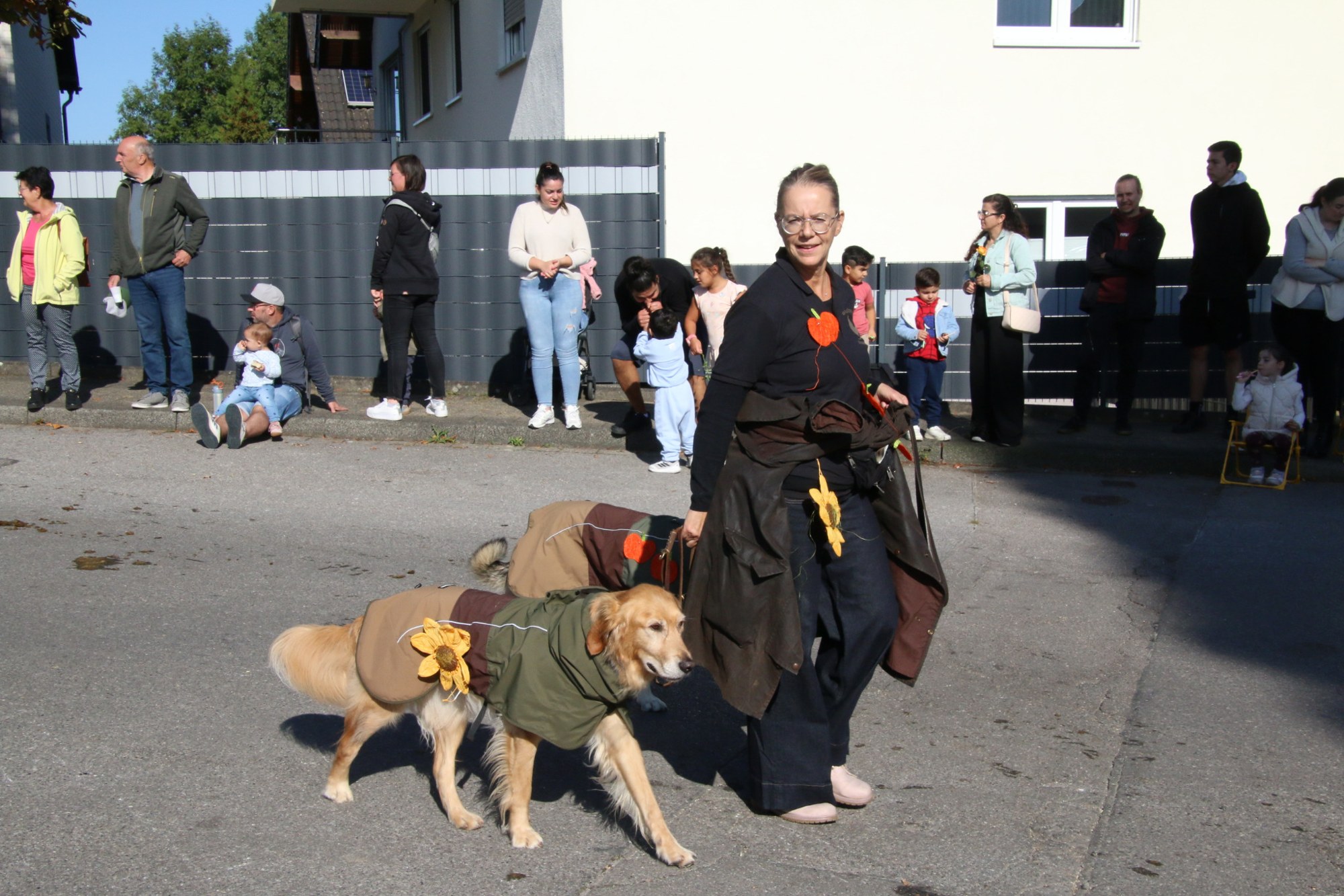 Teilnehmer mit Hunden beim Erntedankzug Walheim 2026.
